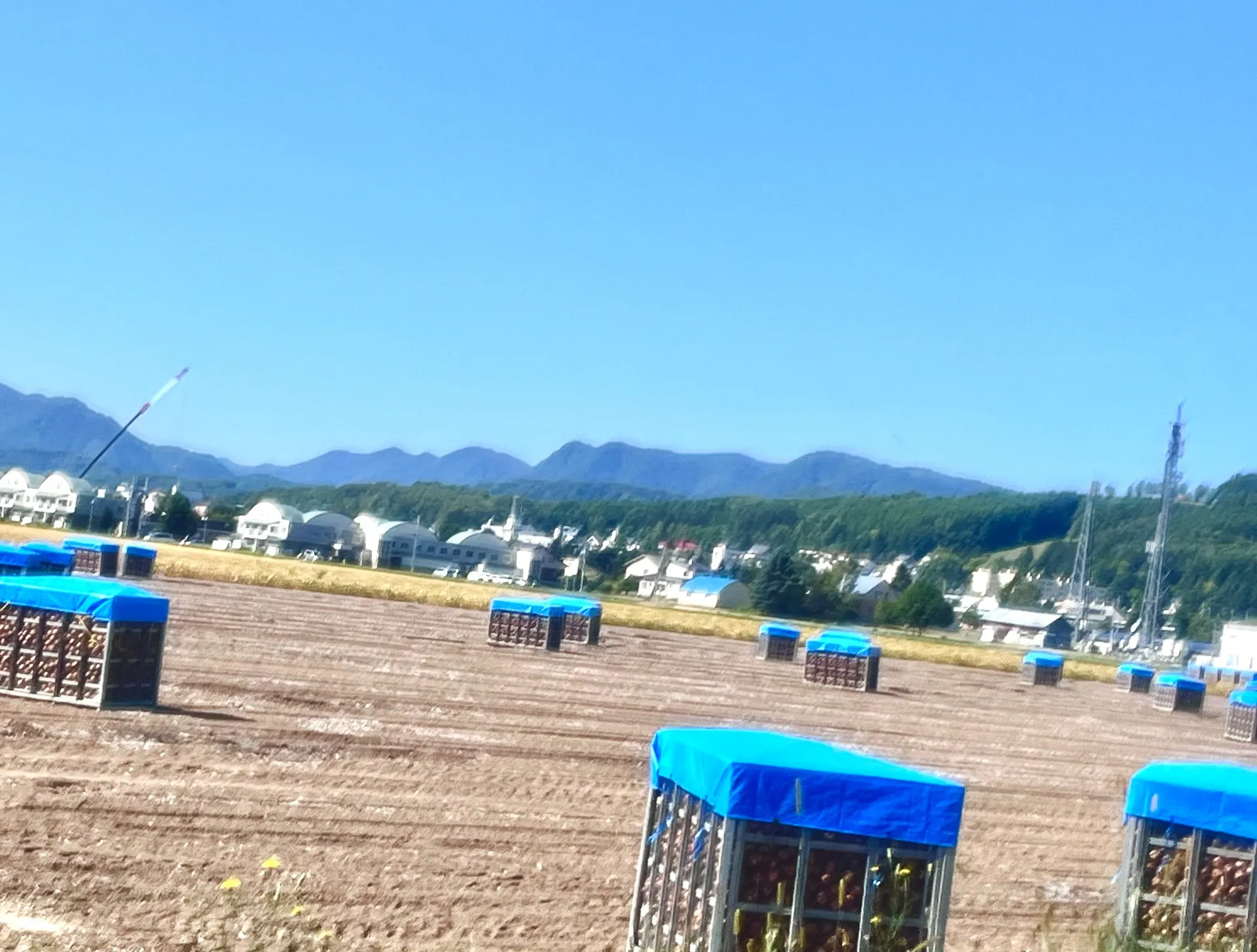 内地人でも憧れる北海道